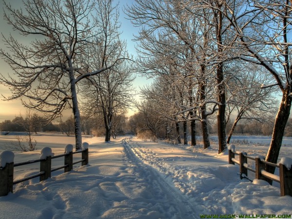 Snowy road under sunset