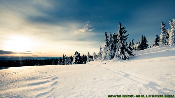 Sunlight on the snow