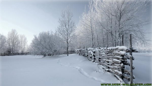 Footprints in the snow