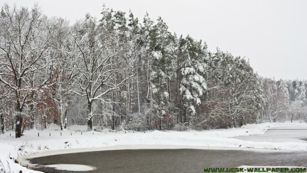 The secret of frozen lake