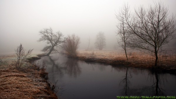 River under huge fog