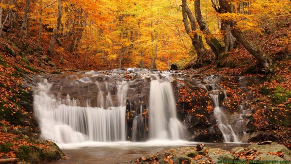Autumn waterfall in the forest
