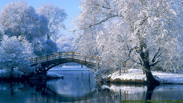 Bridge with white