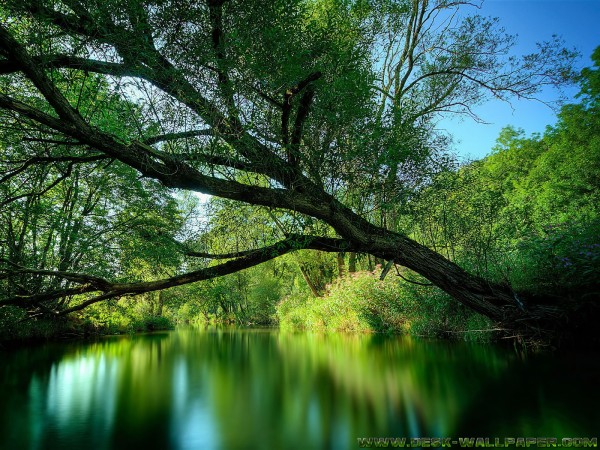 Boating on a river