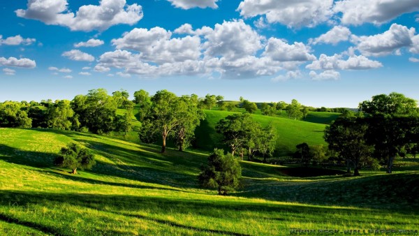 Green with white and blue