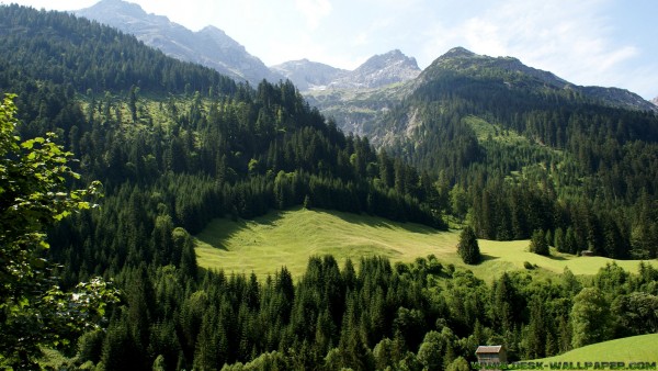 Green wood with mountains