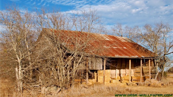 House on the meadow