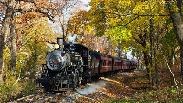 Nature train