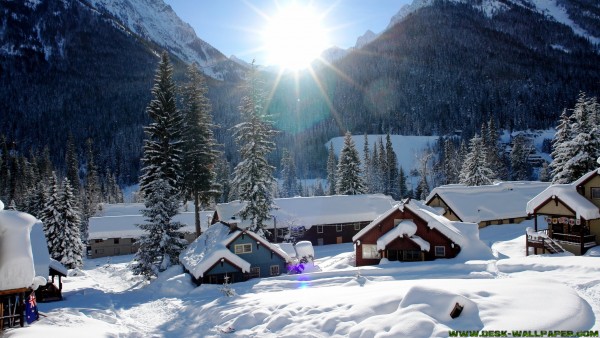 Snowy houses