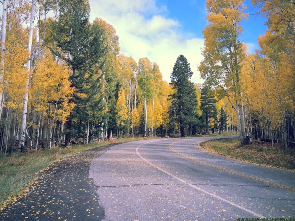 Fall autumn while walking along on the road