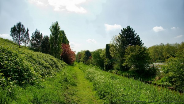 Green footpath