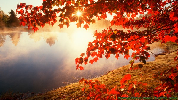 Autumn by the lake