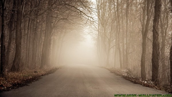 Walking on the foggy road
