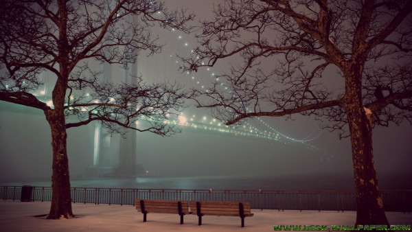 Bridge in night