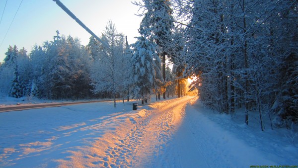 Way to frost