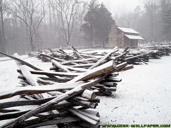 House in the winter