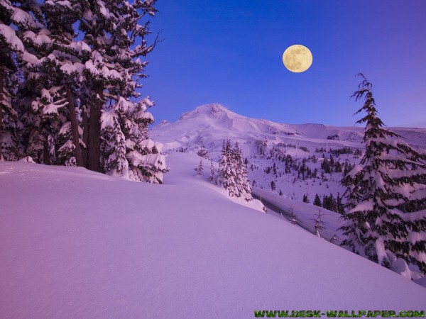 Snowy place under night