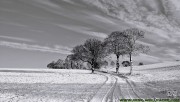 Road on snowy place