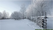 Footprints in the snow