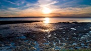 Beach sunset