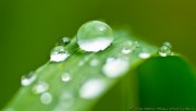 Droplets