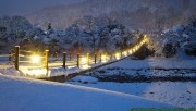 Bridge under snow