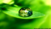 Water drop