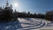 Sunny winter