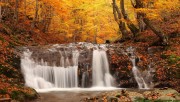 Autumn waterfall in the f…