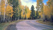 Fall autumn while walking along on the road