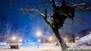 City under white snow