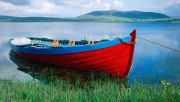 Boat on the lake