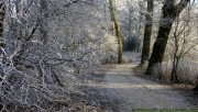 Walking in the winter