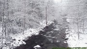 Winter river