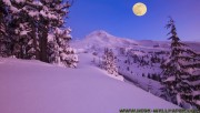 Snowy place under night